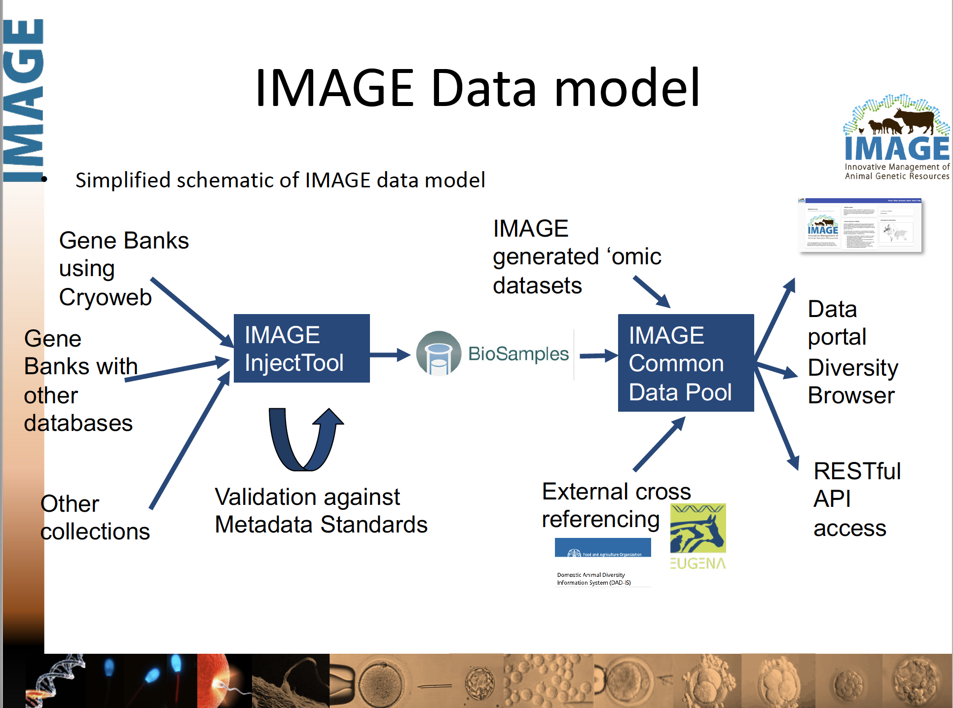 IMAGE|About IMAGE|About